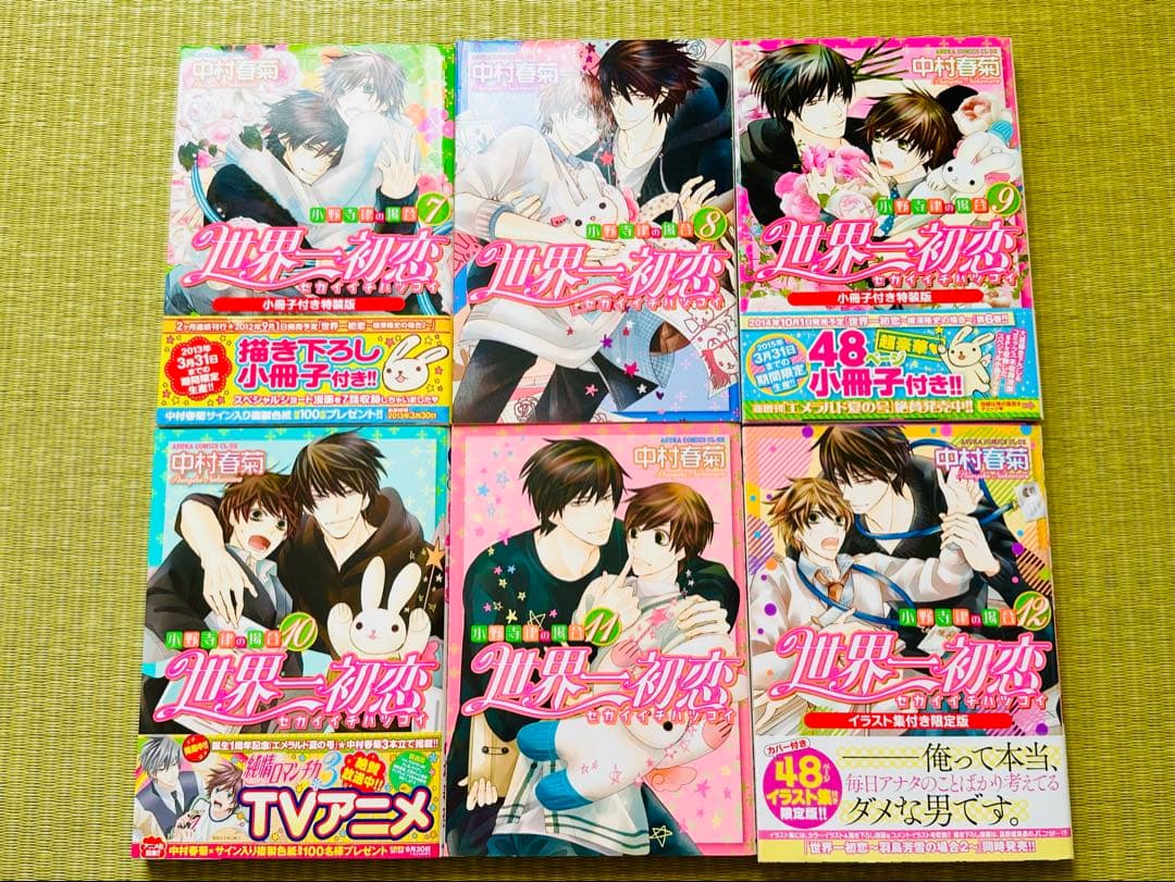 世界一初恋 全20巻 全巻セット 特装版 小冊子 6冊＋6巻DVD 中村春菊