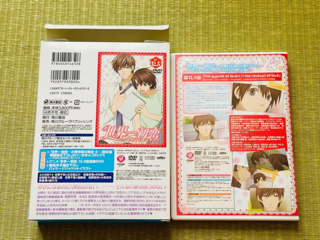 世界一初恋 全20巻 全巻セット 特装版 小冊子 6冊＋6巻DVD 中村春菊