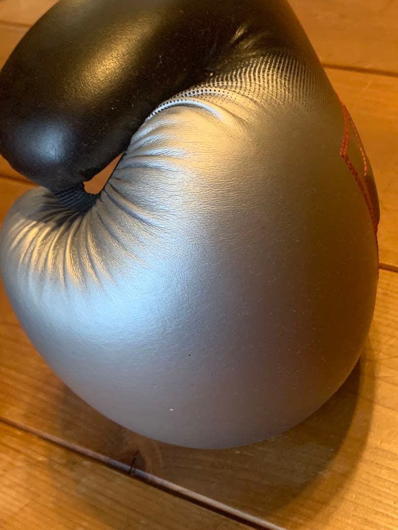 TITLE Platinum ボクシンググローブ ブラック/シルバー 14oz