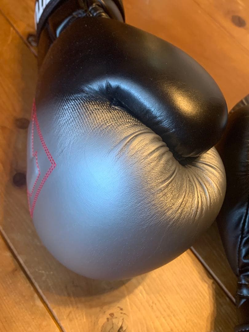 TITLE Platinum ボクシンググローブ ブラック/シルバー 14oz