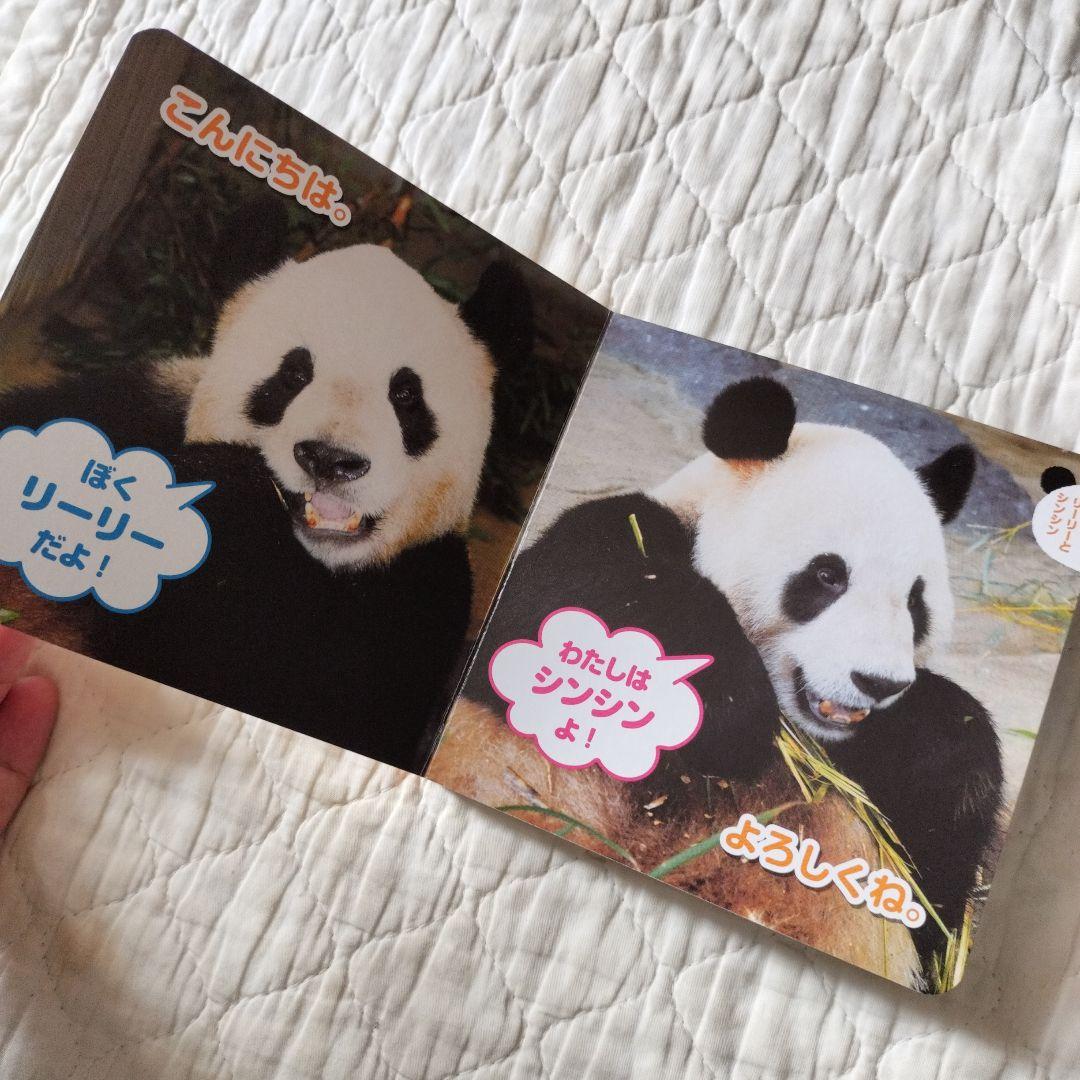 リーリーとシンシン