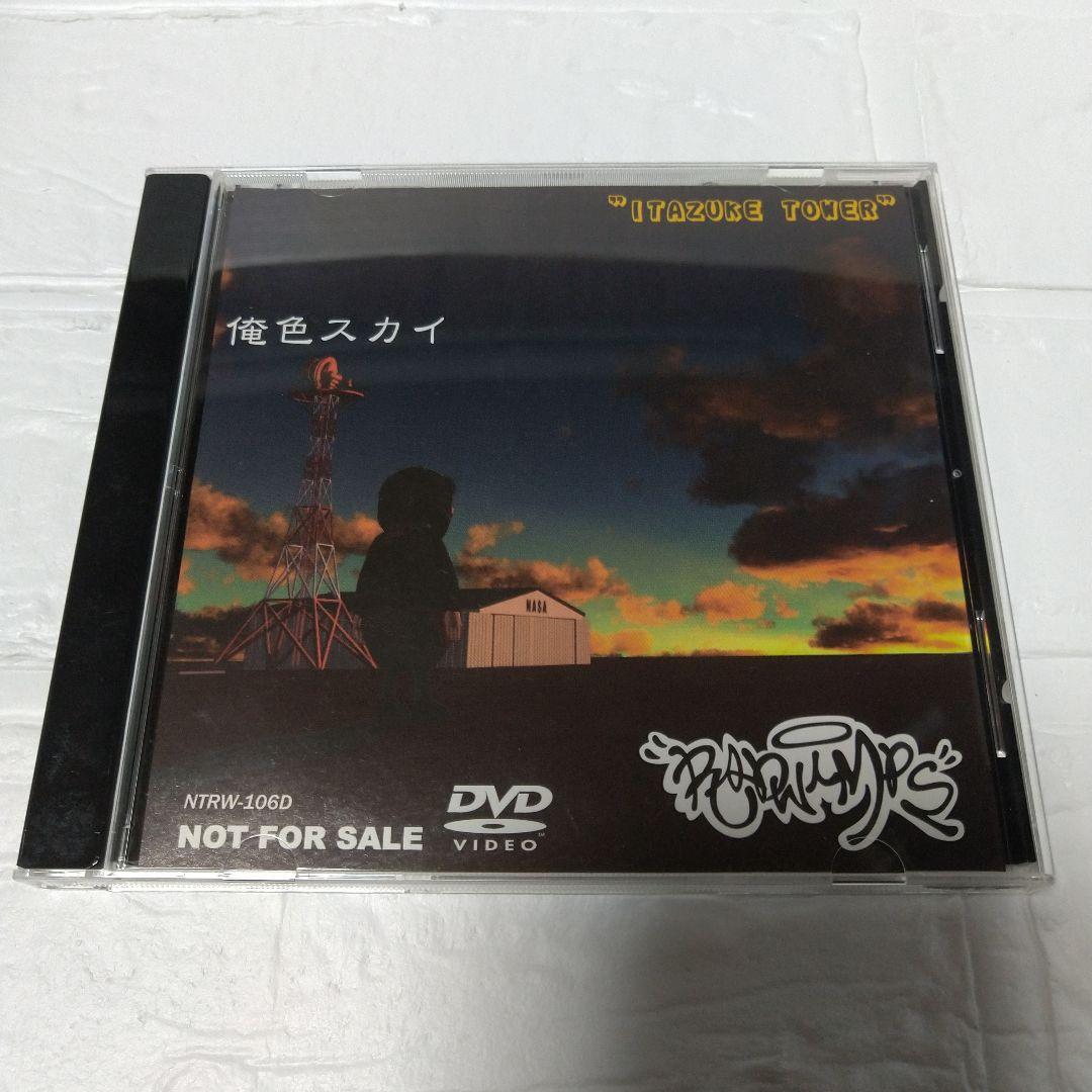 RADWIMPS 俺色スカイ DVD