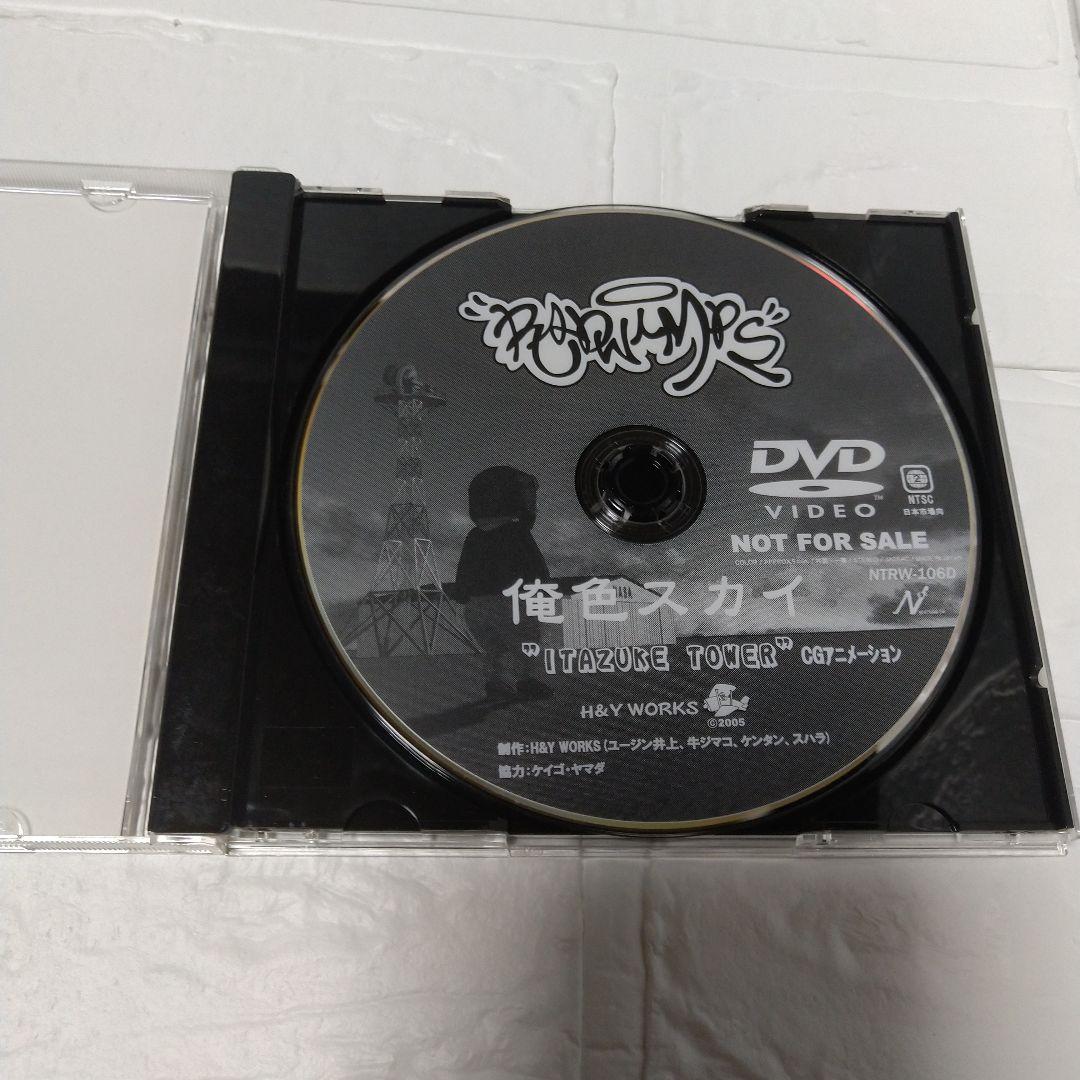 RADWIMPS 俺色スカイ DVD