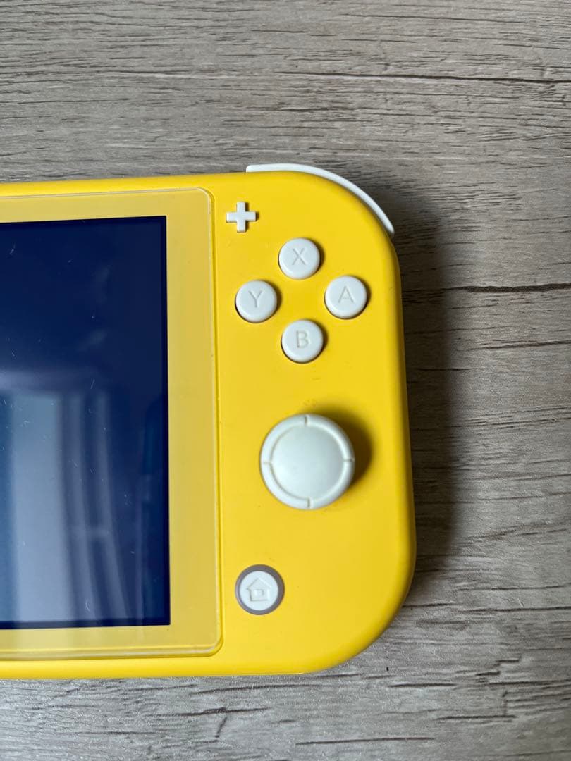 Nintendo Switch Lite 本体　あつまれどうぶつの森　セット