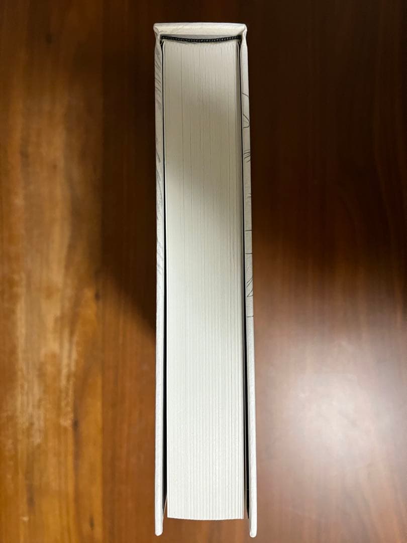 【希少】荒木伸吾　画集　瞳と魂