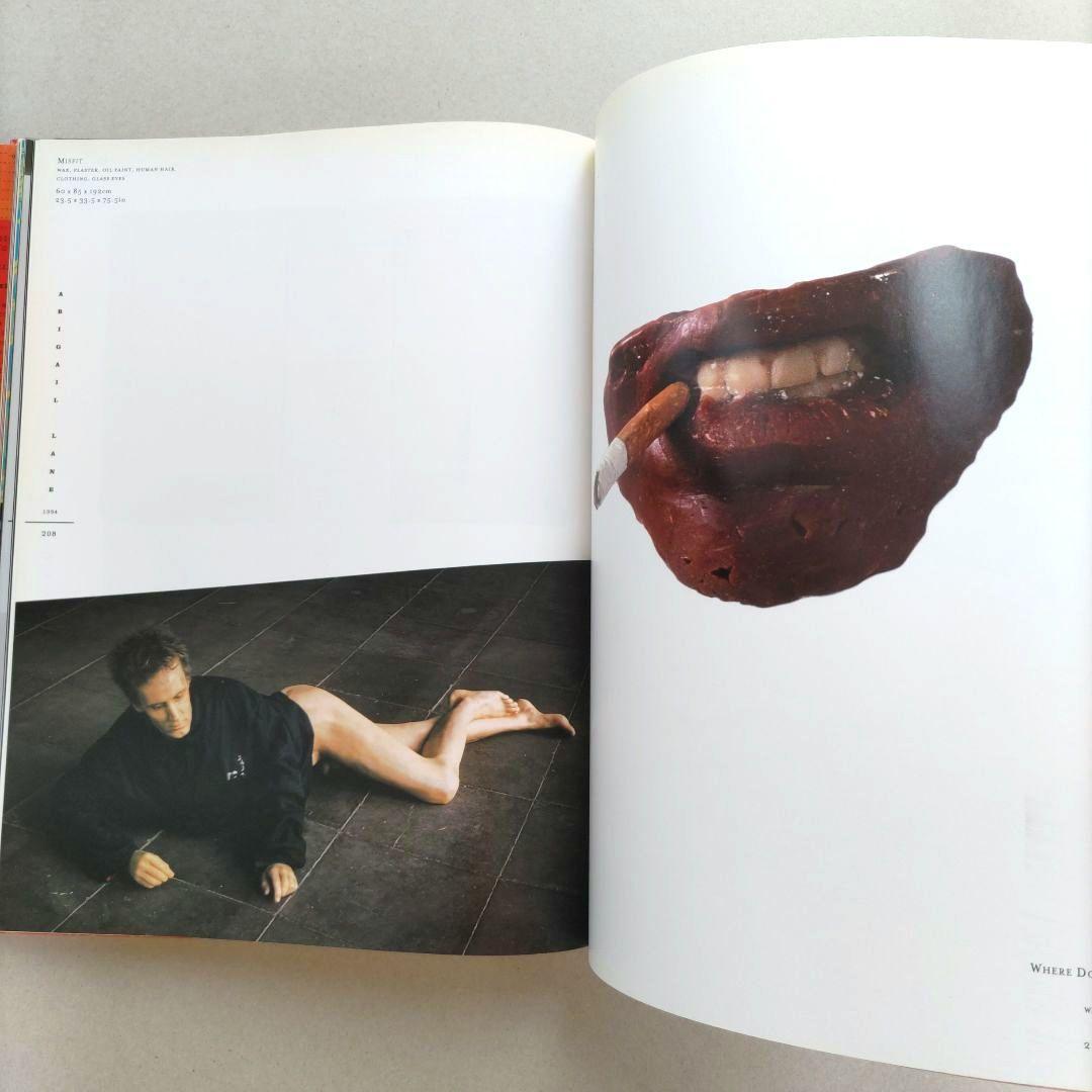 YOUNG BRITISH ART: the Saatchi decadeアート