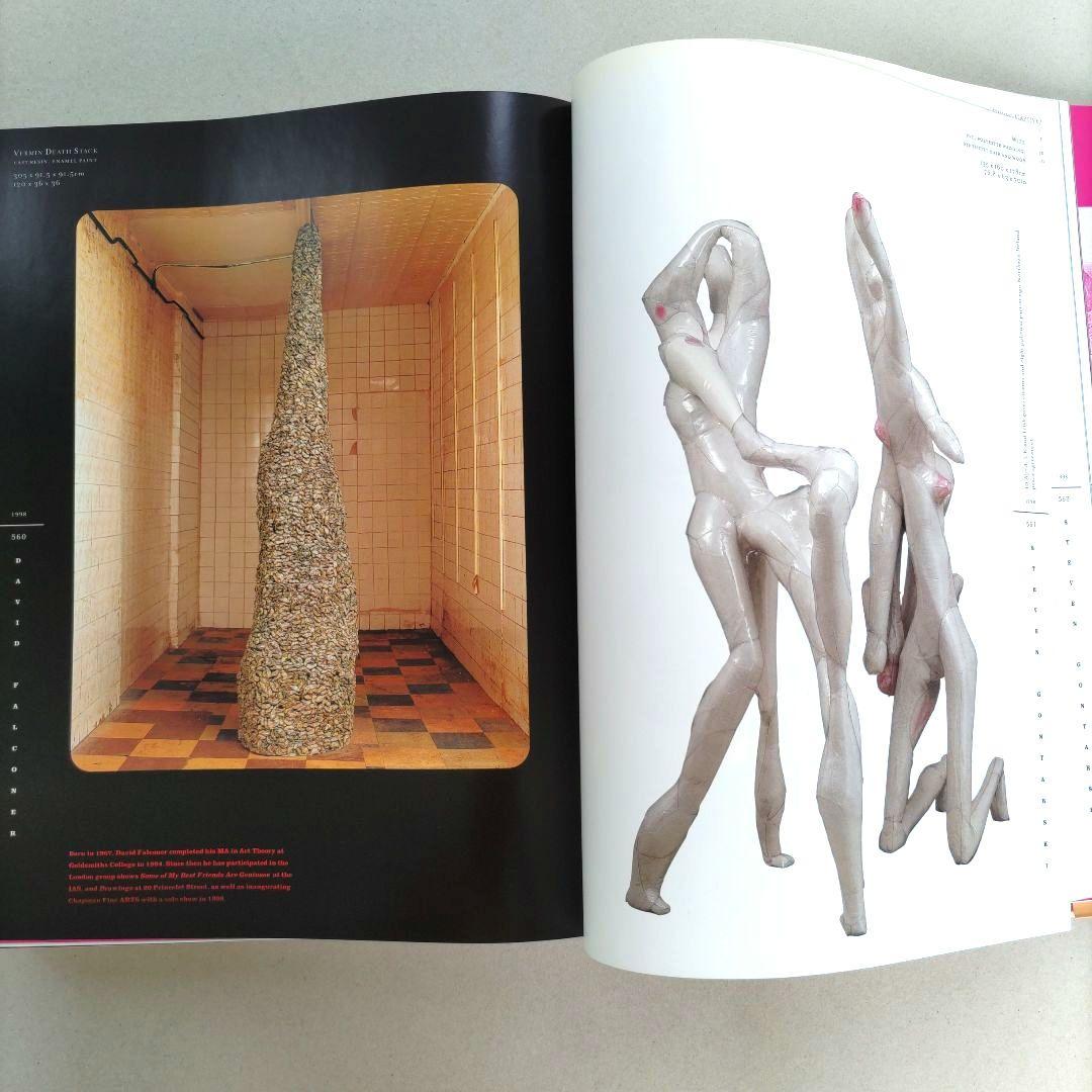 YOUNG BRITISH ART: the Saatchi decadeアート