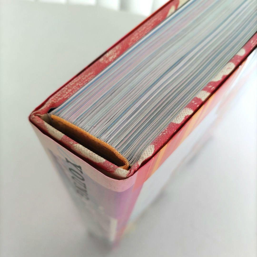 YOUNG BRITISH ART: the Saatchi decadeアート