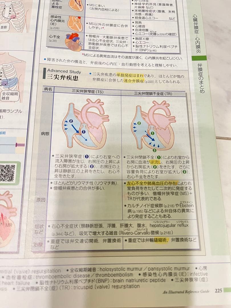 病気がみえる 全1-11巻セット（⑨⑩巻はありません）