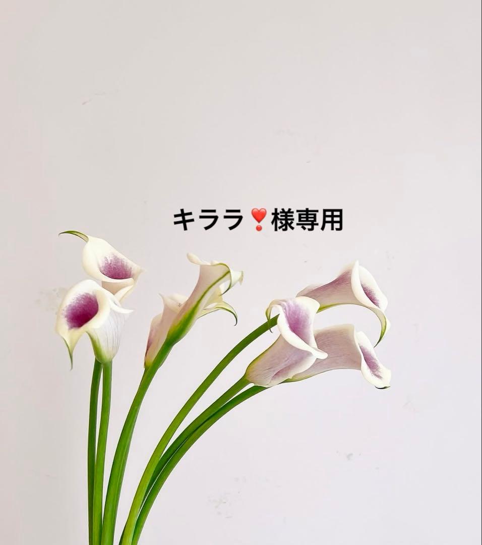 キララ❣️品　vos３点セット　ハイドロ追加