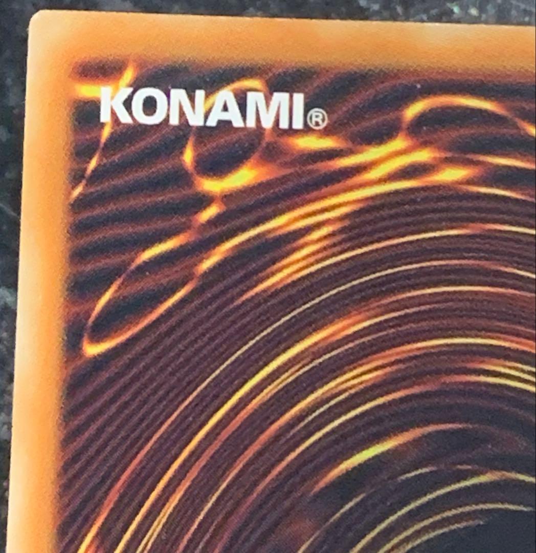 遊戯王　ブラック・ローズ・ドラゴン ホロ