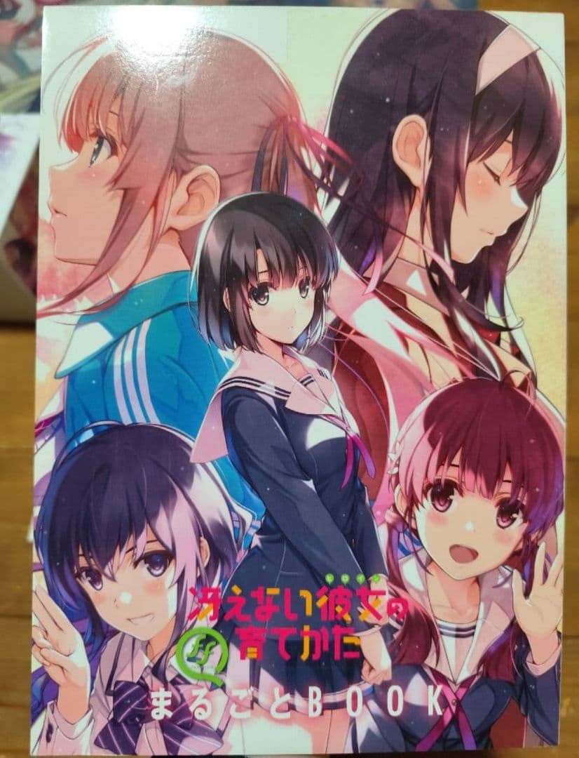 【破格まとめ売り】冴えない彼女の育てかた全巻BOXセット＋特典B2ポスター＋画集