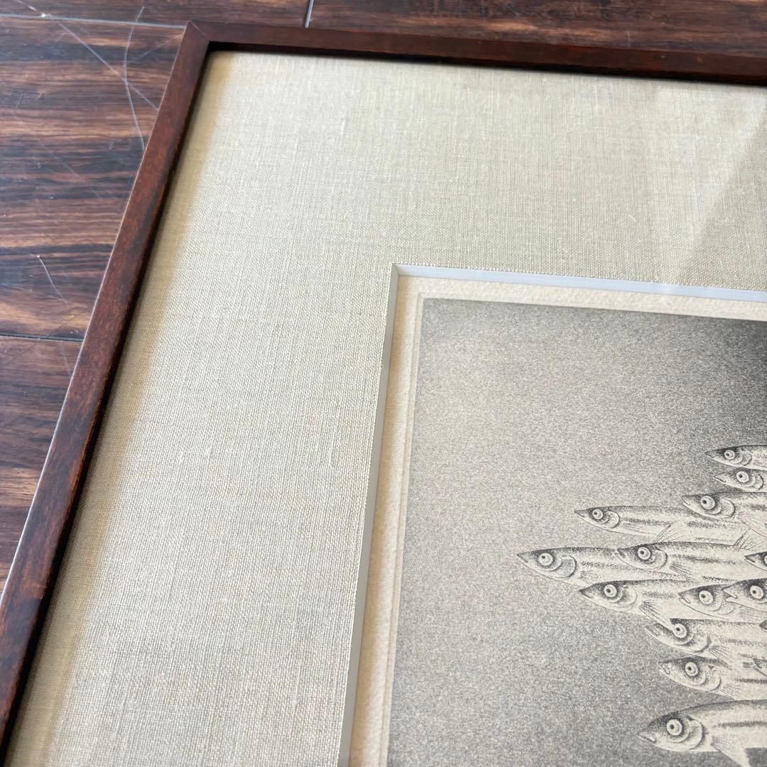 西内利夫 銅版画 琵琶湖の仲間たち モロコ 自筆サイン 額装 郡魚 額 E