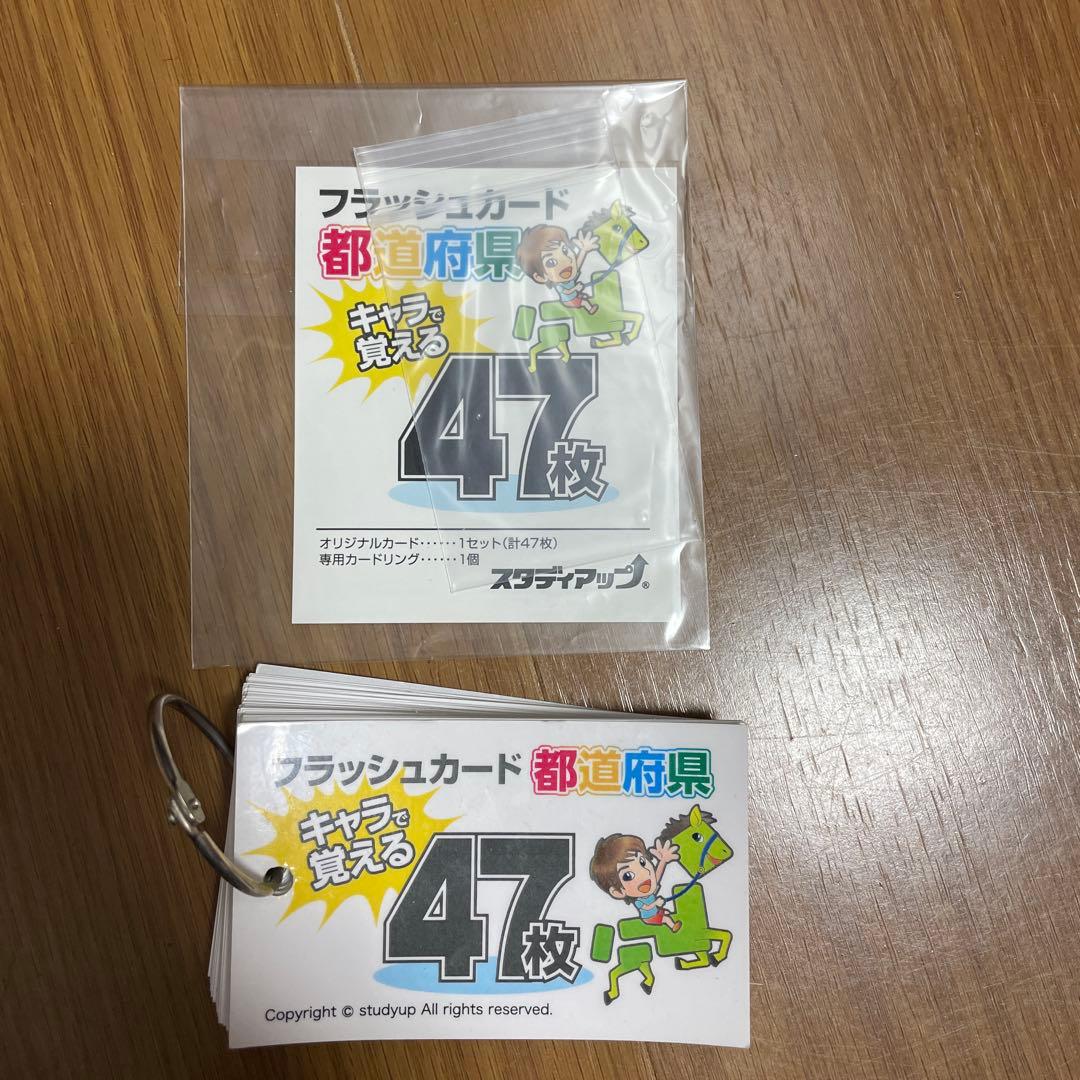 スタディアップ　白地図ピース 重ねて覚える191ピース