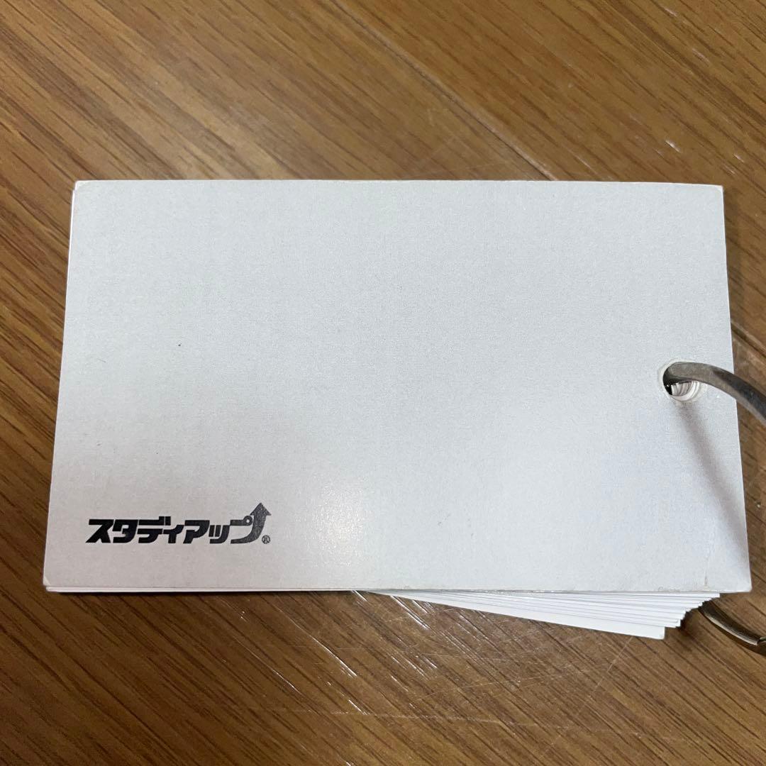 スタディアップ　白地図ピース 重ねて覚える191ピース