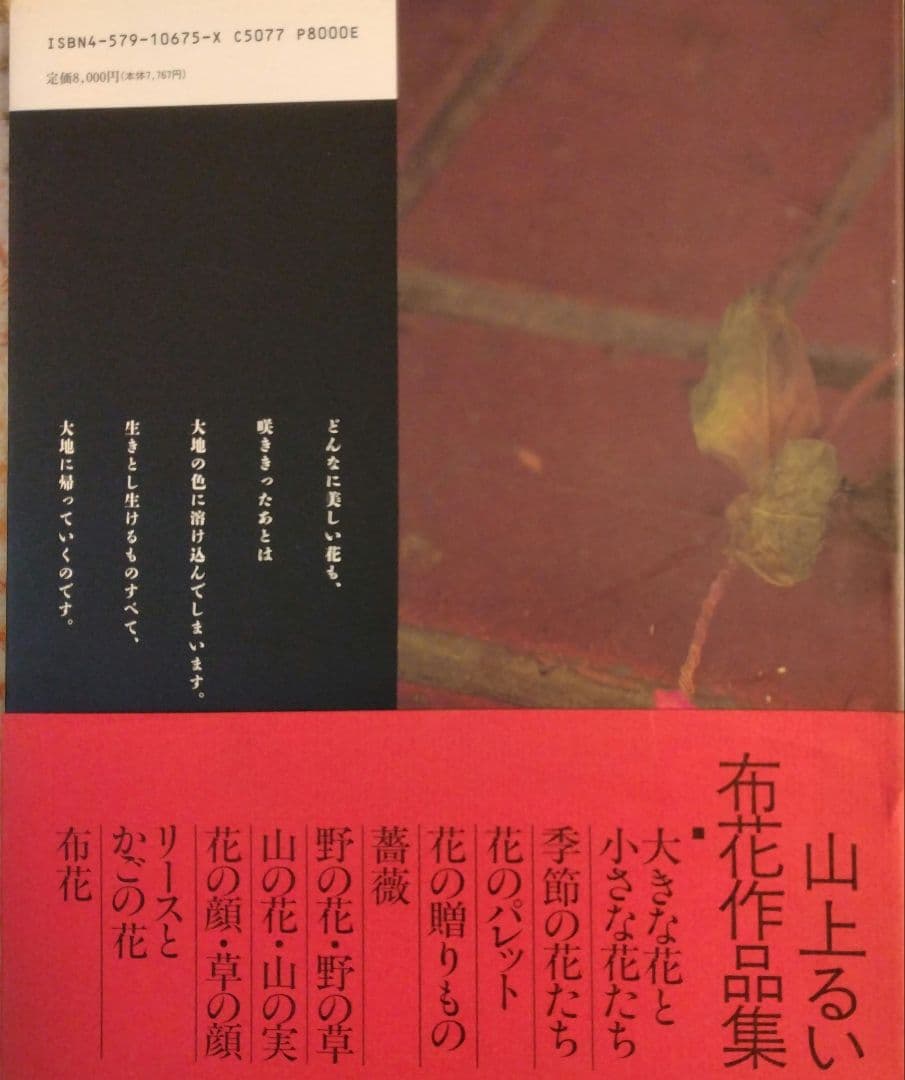 山上るい「枯れていく花」