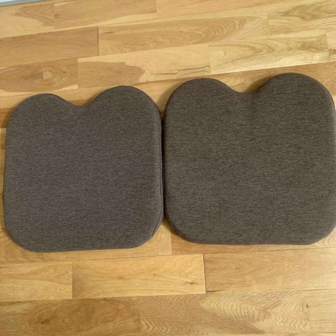 エクスジェル アウルカンフィ OWF10-BR 専用カバー付き　2個