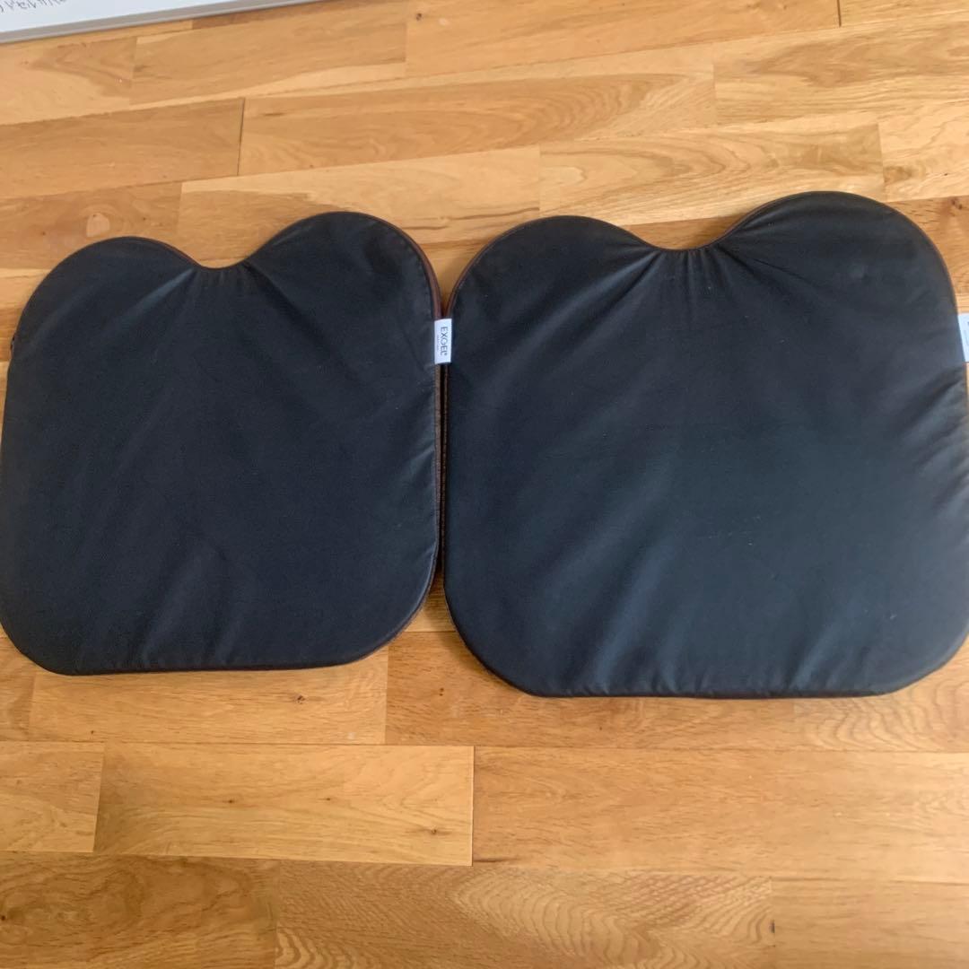 エクスジェル アウルカンフィ OWF10-BR 専用カバー付き　2個