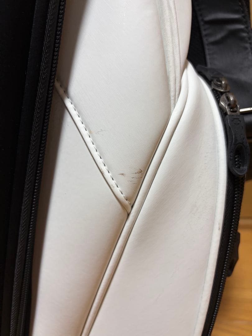 DESCENTE キャディバッグ ホワイト ブラック　レディース　ゴルフボール付