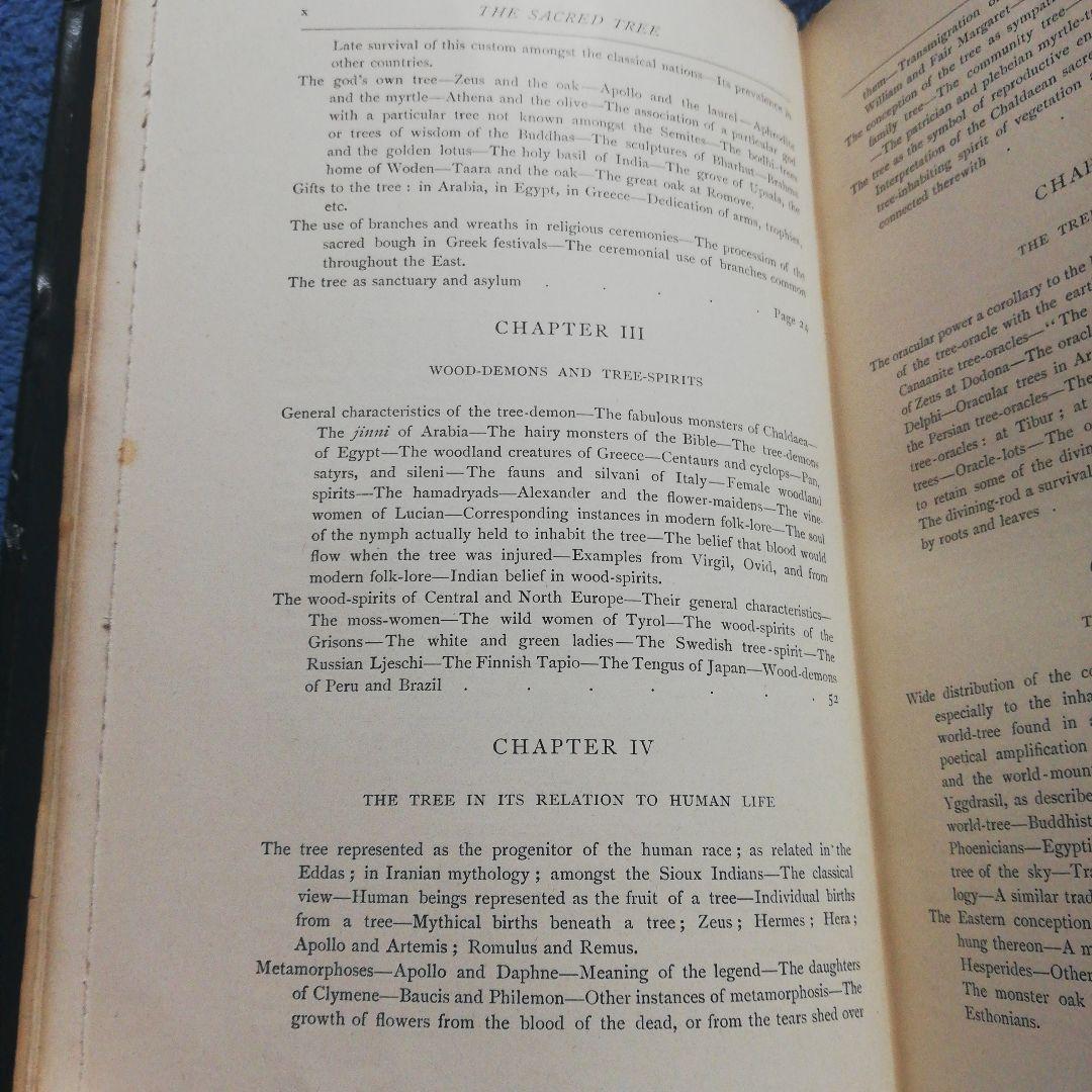 洋書 The Sacred Tree by Mrs. J. H. Philpot