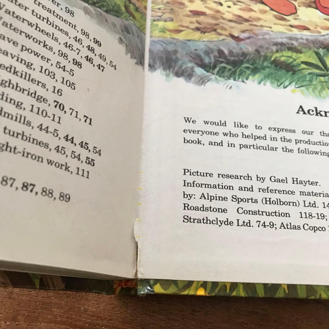 ディズニー How it Works in thecountry