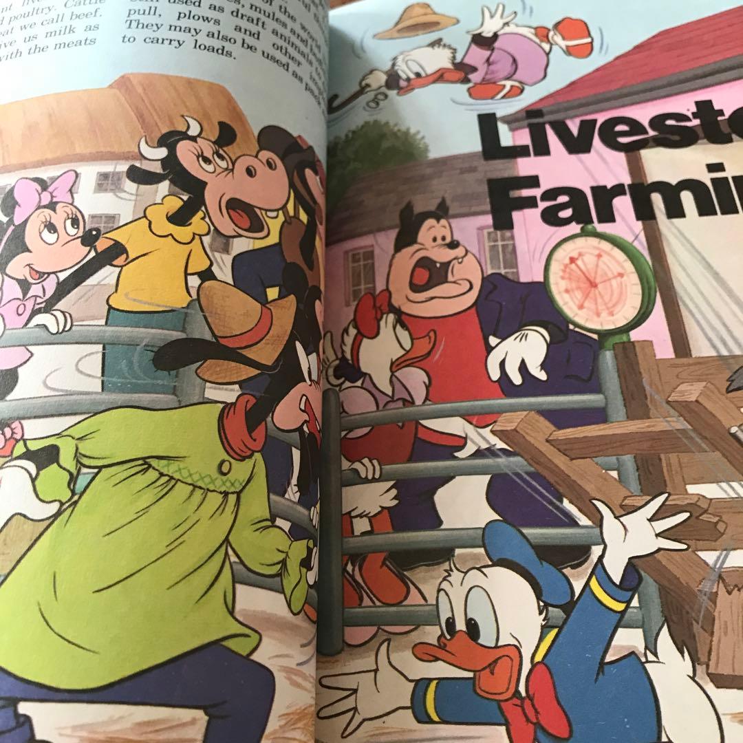 ディズニー How it Works in thecountry