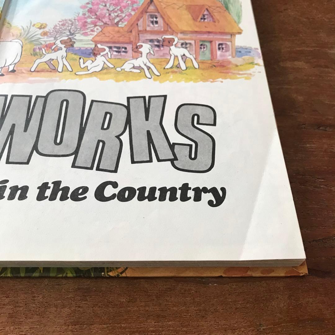 ディズニー How it Works in thecountry
