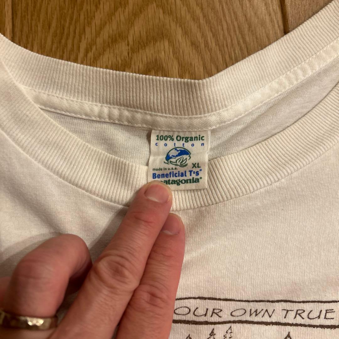 F*e様 patagonia ヴィンテージ　Beneficial T's アメリ