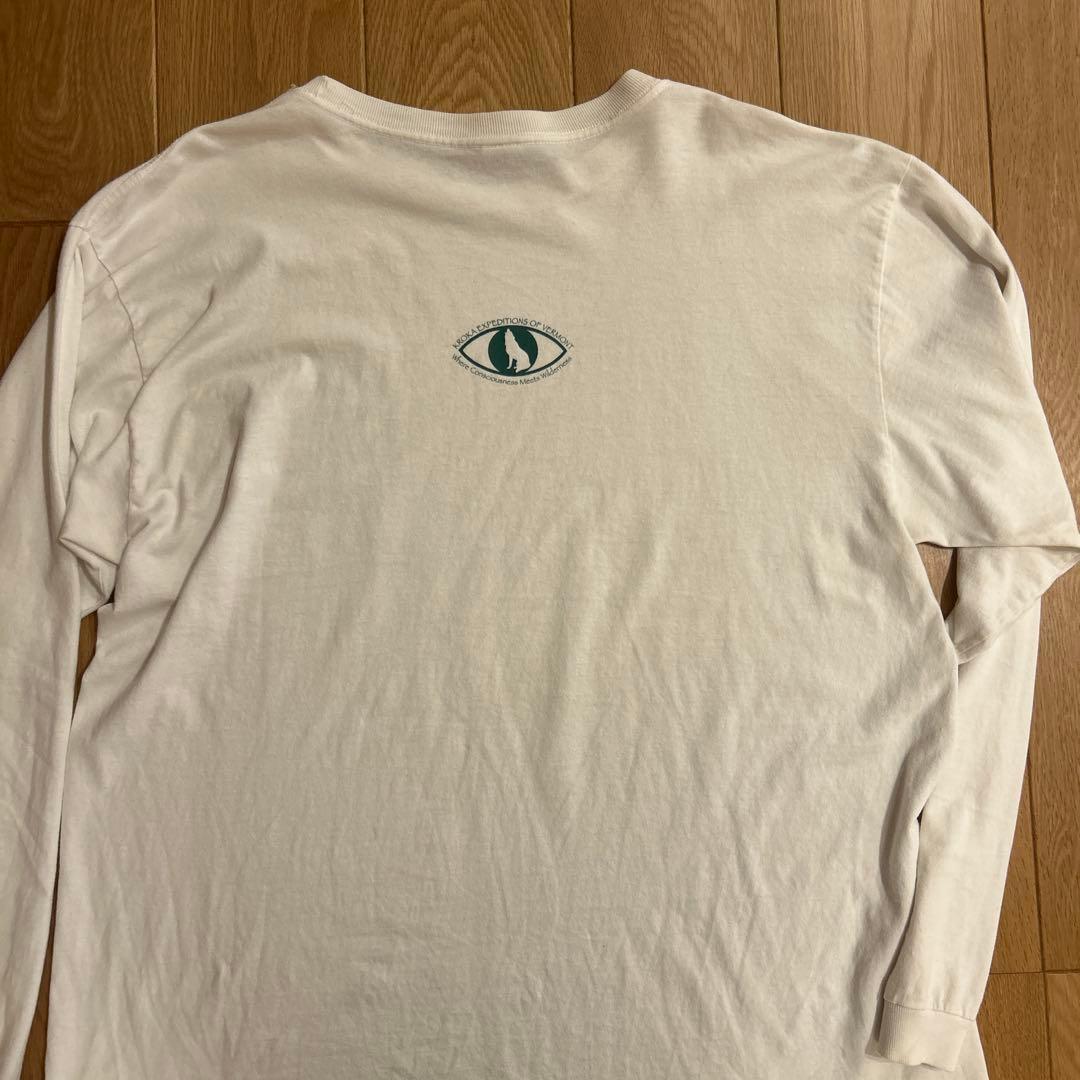 F*e様 patagonia ヴィンテージ　Beneficial T's アメリ