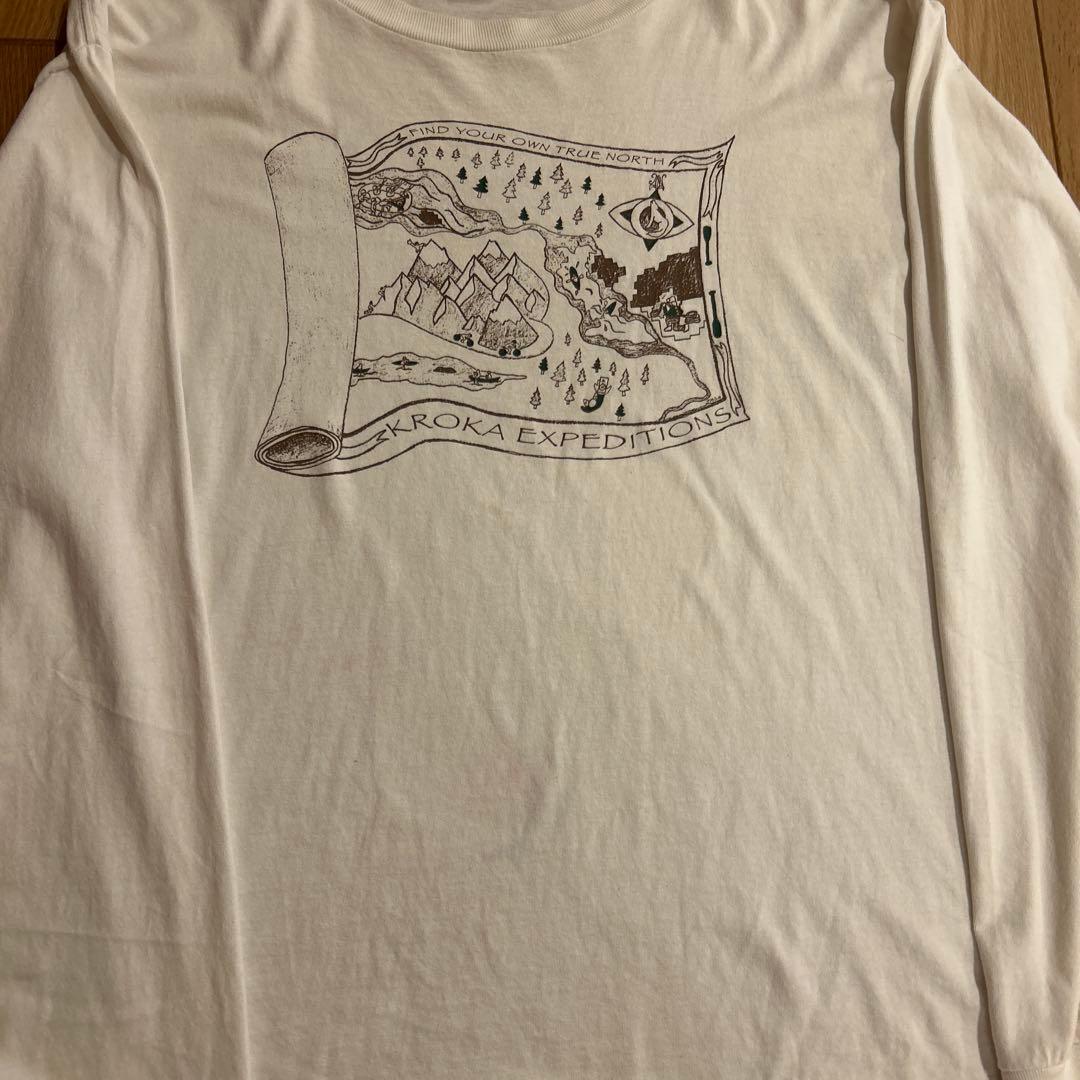 F*e様 patagonia ヴィンテージ　Beneficial T's アメリ