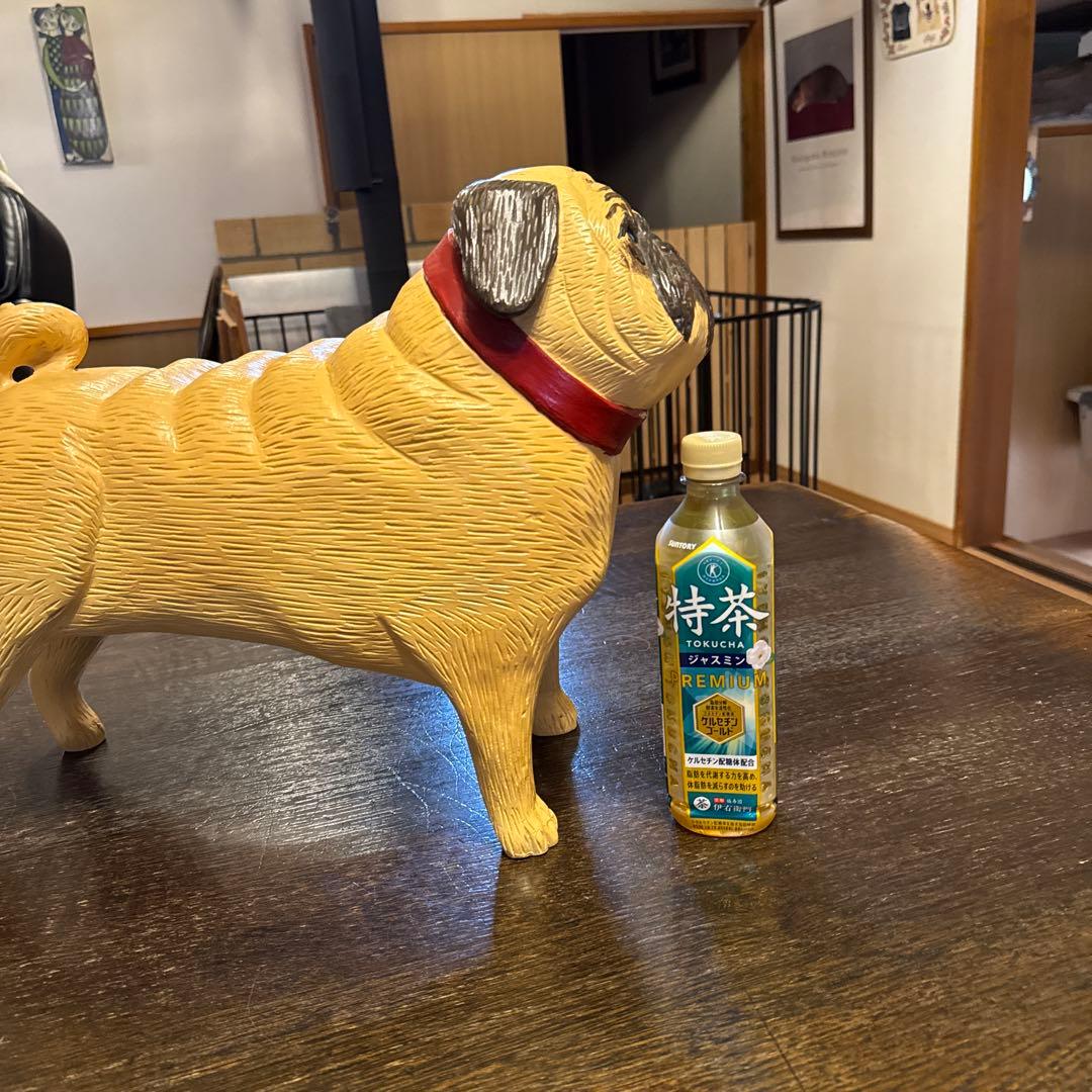 スティーブン　ヒューネック氏のパグ