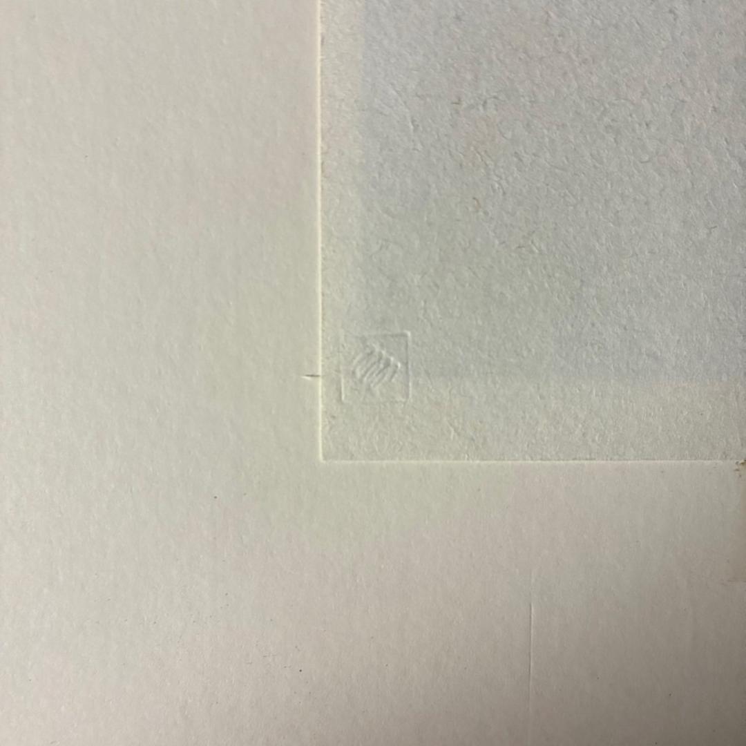 篠田桃紅「月読み」リトグラフ 直筆サイン入り 額縁入り 墨描抽象画家 現代アート