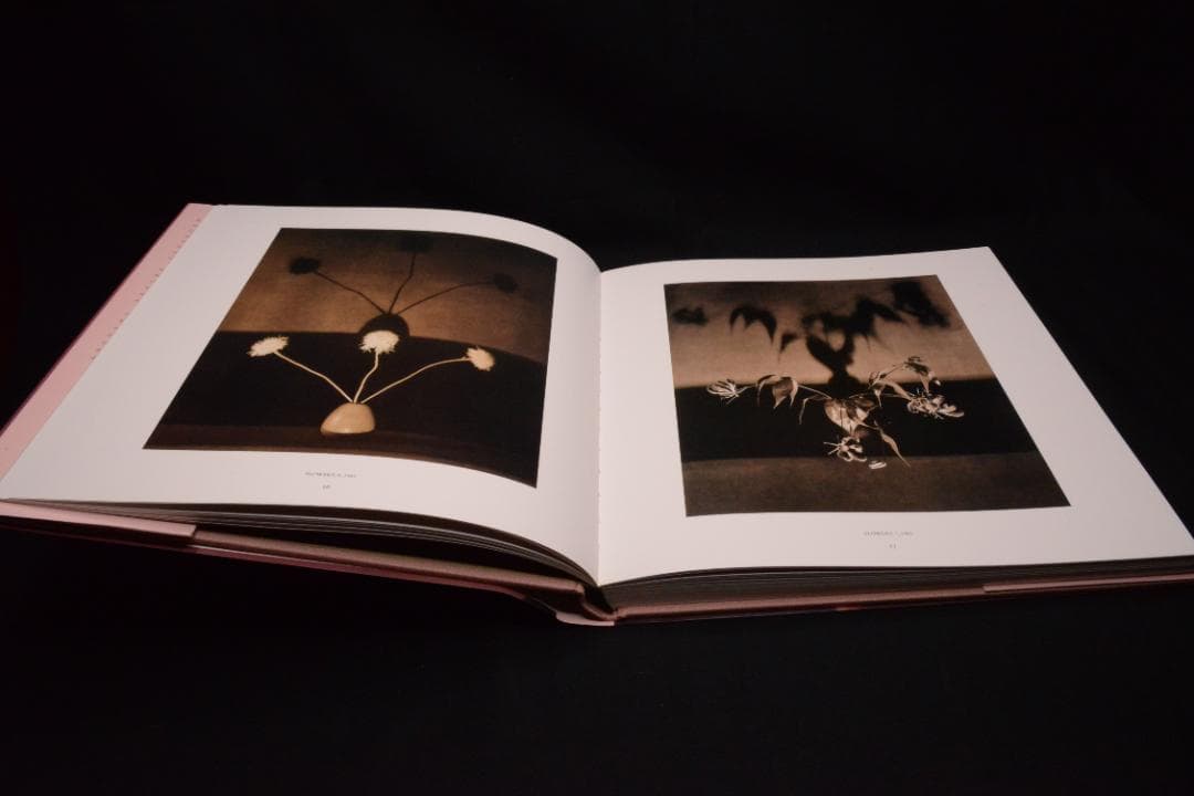 【 PISTILS】Robert Mapplethorpe★大幅に値下げしました