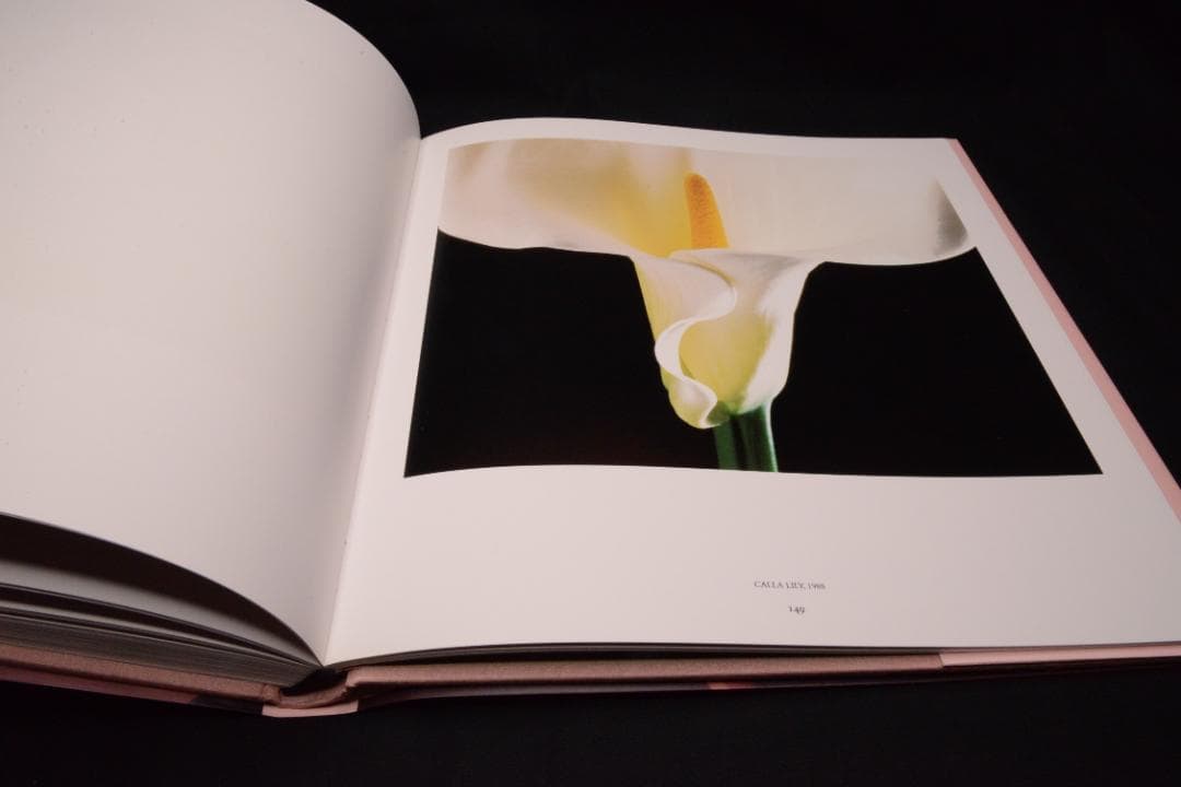 【 PISTILS】Robert Mapplethorpe★大幅に値下げしました