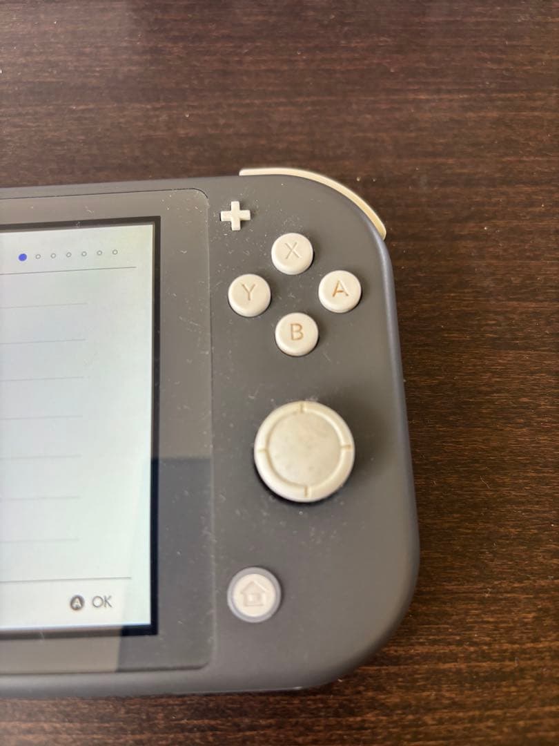 ニンテンドースイッチライト 本体のみ