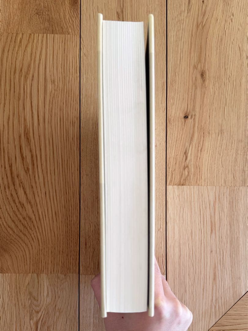 池田亮司 × Alva Noto - cyclo.id vol.01