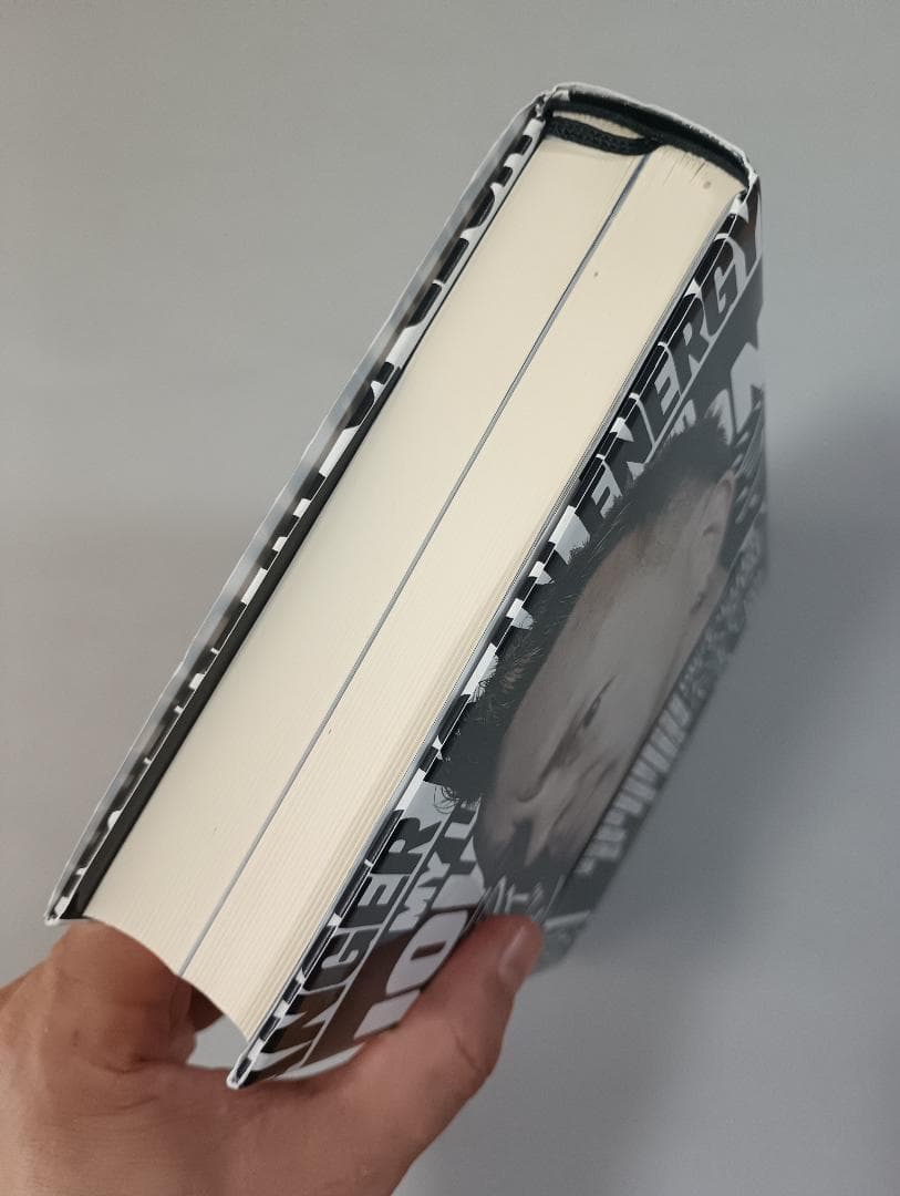 ジョン・ライドン新自伝　怒りはエナジー 　ジョン・ライドン／著　田村亜紀／訳