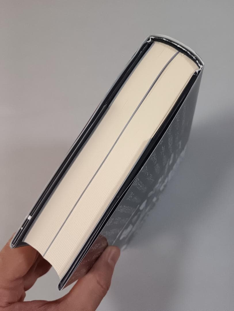 ジョン・ライドン新自伝　怒りはエナジー 　ジョン・ライドン／著　田村亜紀／訳