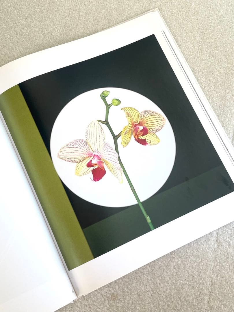 Flowers by Mapplethorpe メイプルソープの花 洋書