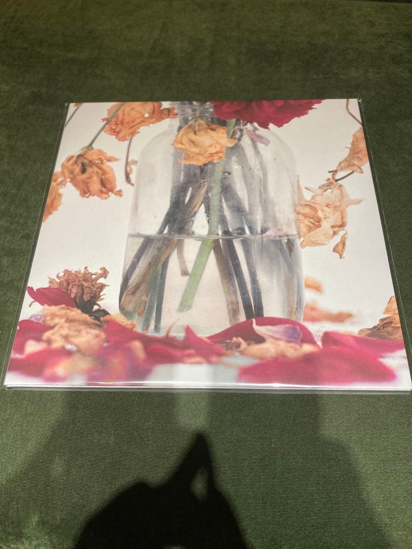 唾奇 Camellia LP (2 vinyl set)