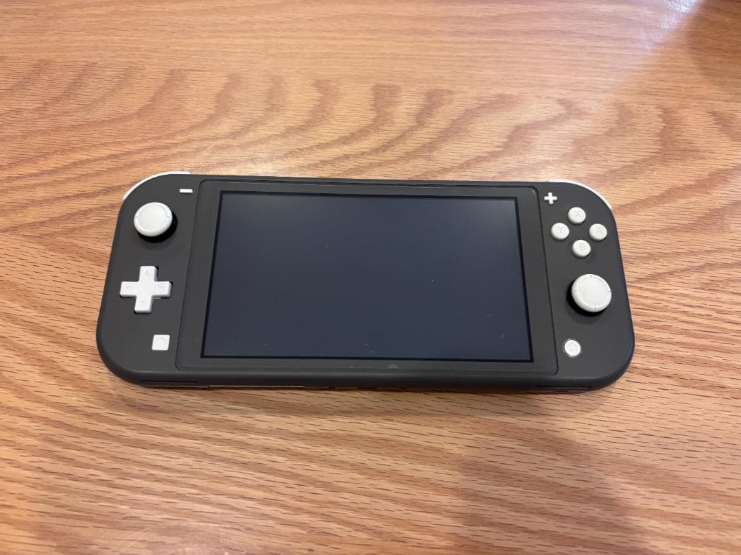 Switch Lite グレー 本体＋ケースセット 美品