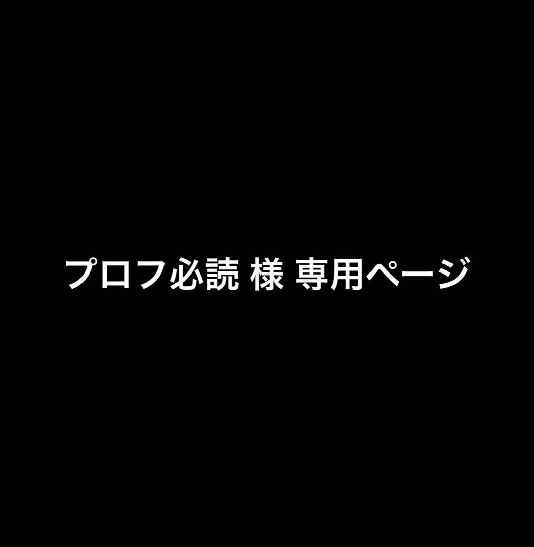 プロフ必読★ ページ