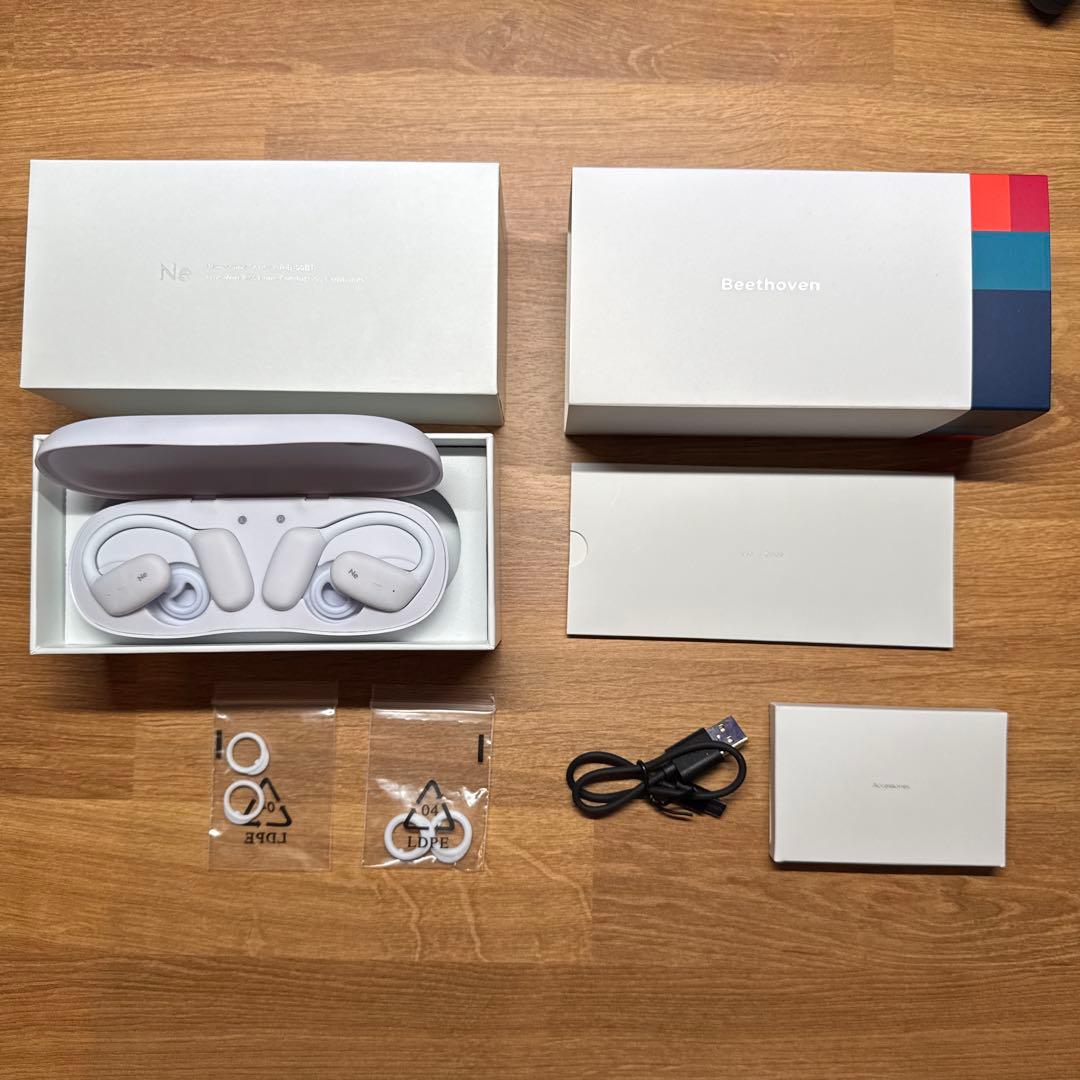 ラディウス radius HP-B100BT 骨伝導Beethoven