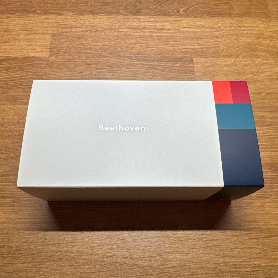 ラディウス radius HP-B100BT 骨伝導Beethoven