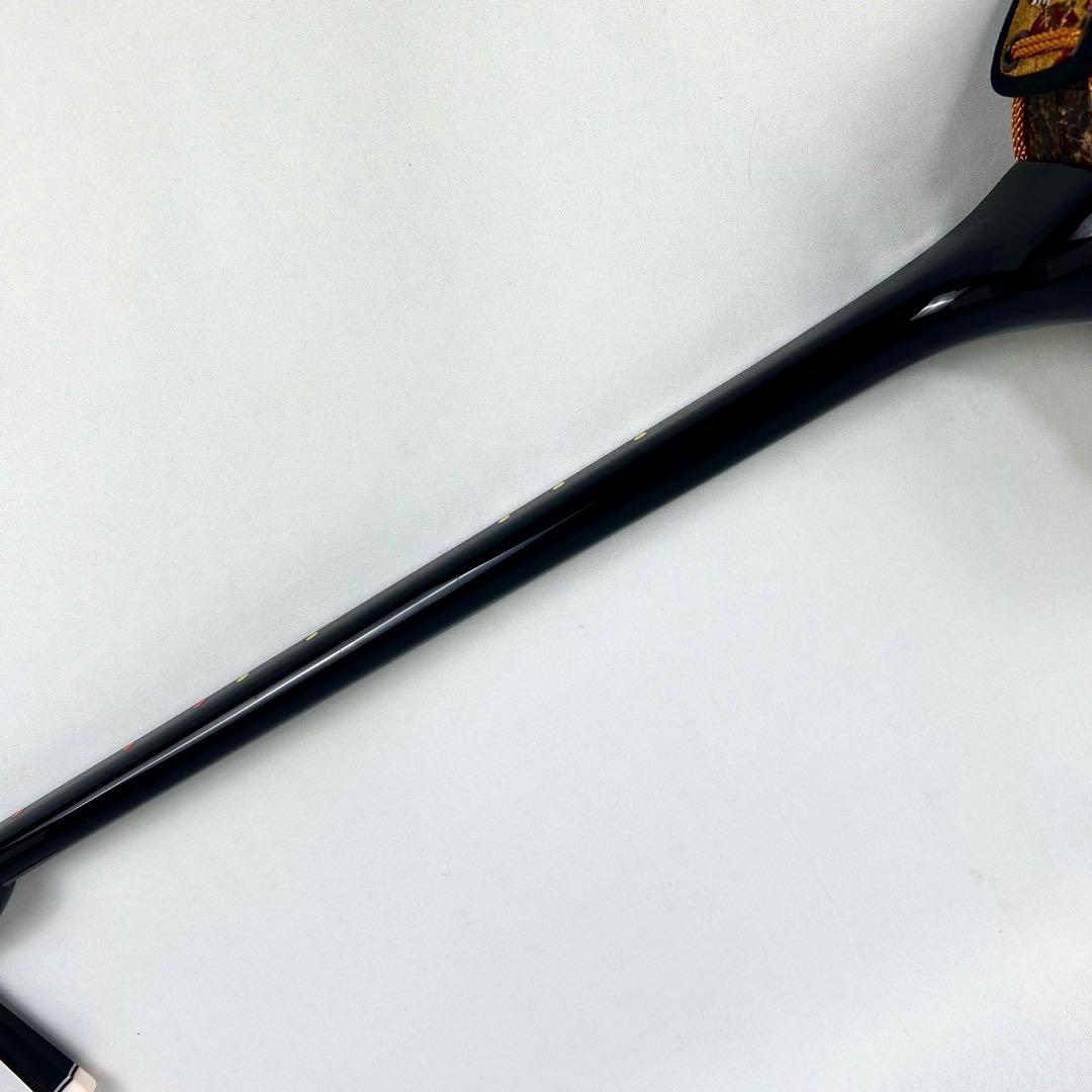 【美品】沖縄三線 本革 蛇革 ハードケース付 付属品多数 三味線