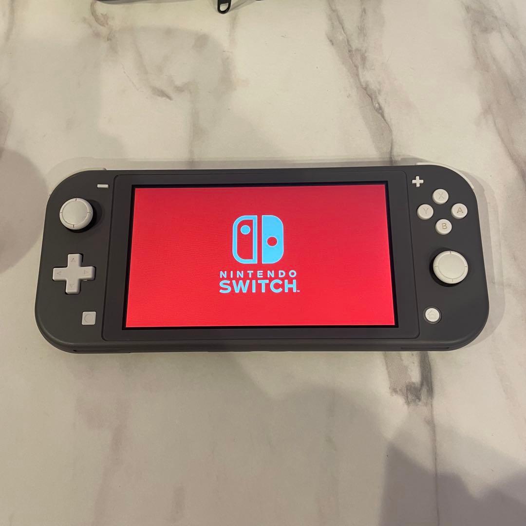 Nintendo Switch Lite グレー 動作確認済み ケース付き
