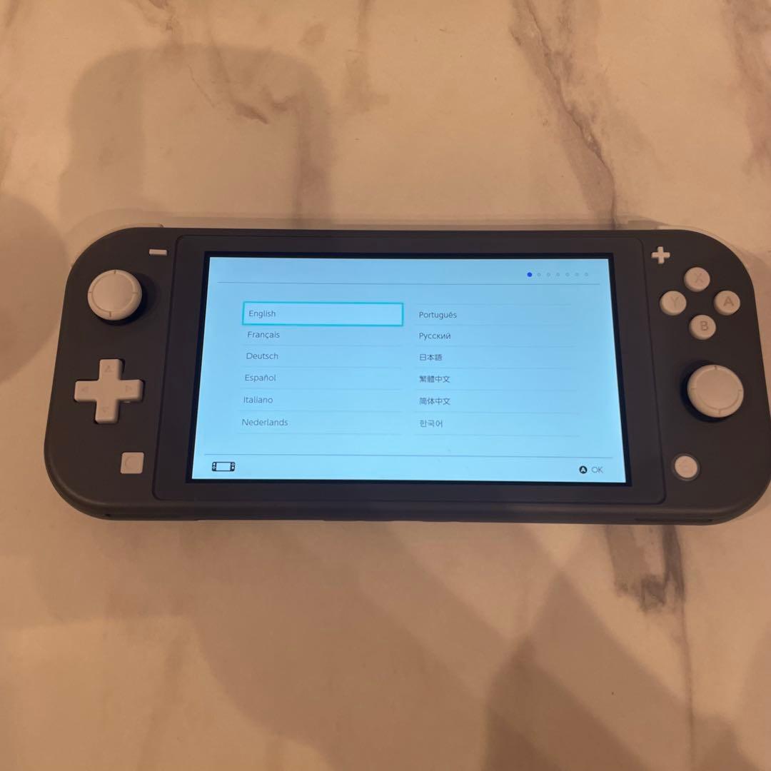 Nintendo Switch Lite グレー 動作確認済み ケース付き