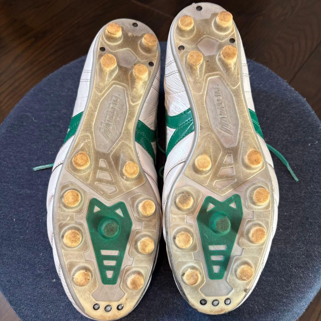 【しゅうと】モレリア JAPAN ブラジルカラー 28cm ゼログライド