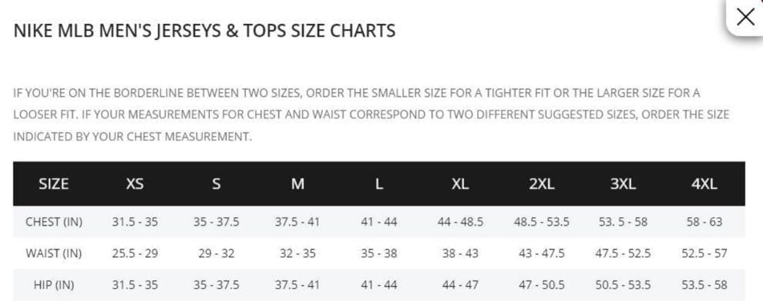 刺繍ワッペンロゴ MLB公式 大谷翔平 ユニフォーム ドジャース XLサイズ1