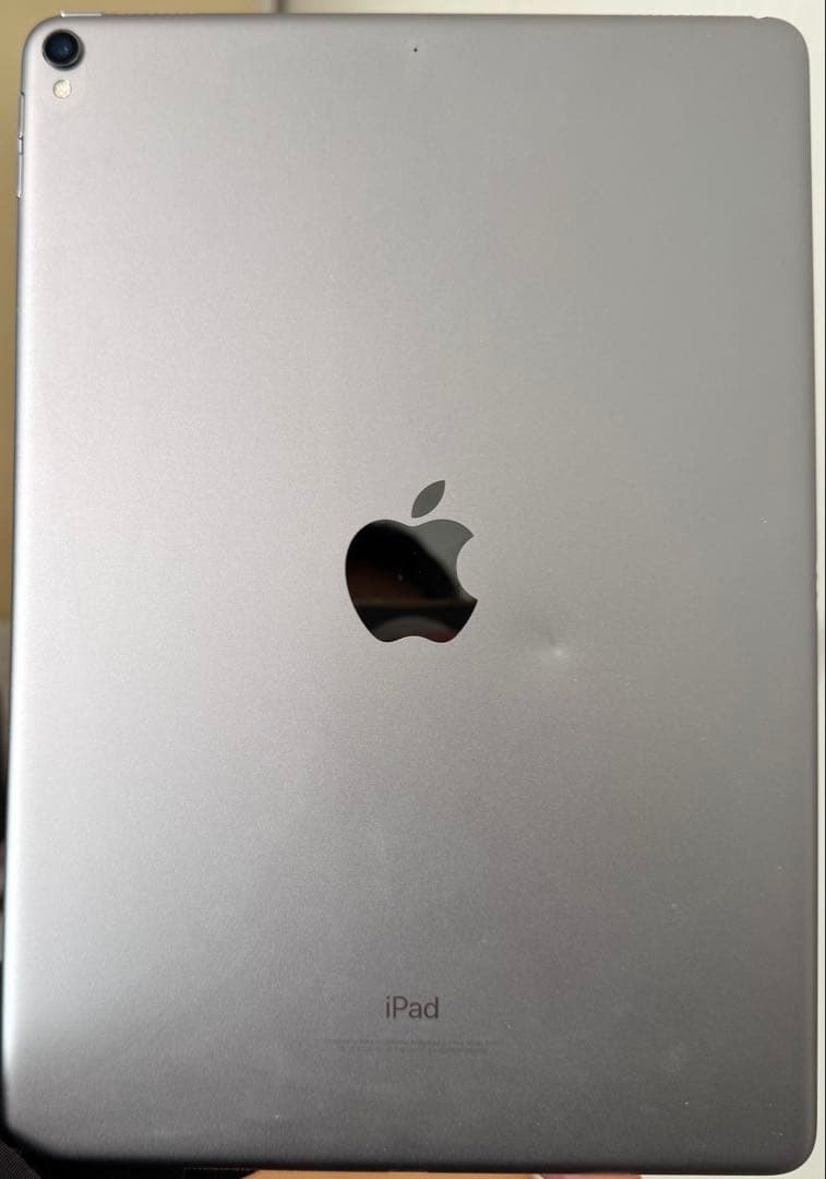 あきさん専用 【本体のみ】iPad Pro (第1世代) ￼256GB